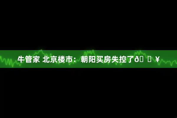 牛管家 北京楼市：朝阳买房失控了🔥